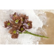 Lifetime Flower Stem - Brown